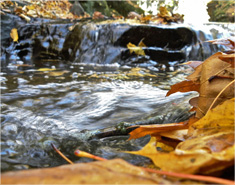 DDOS在线压力测试